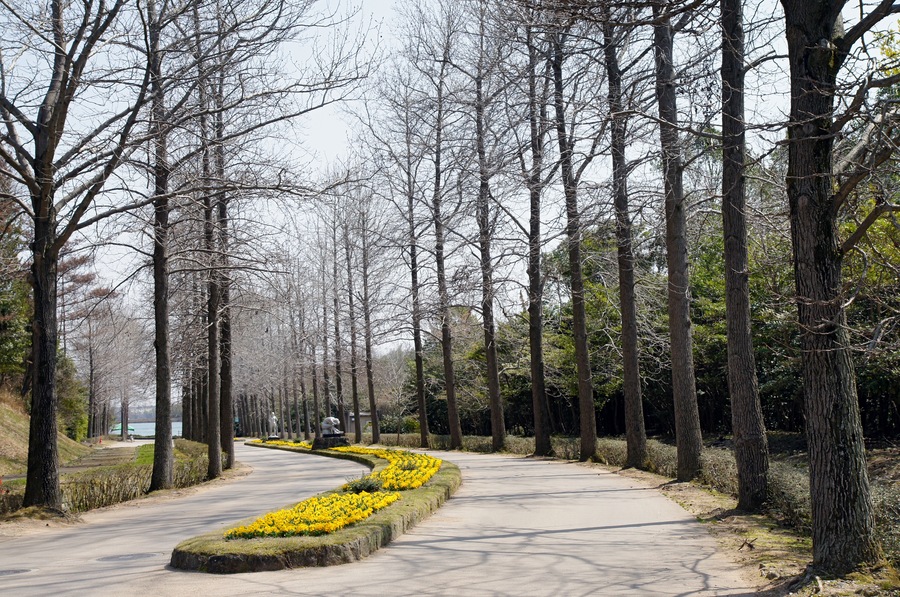 Hyogo Prefectural Flower Center in Kasai, Hyogo prefecture, Japan.