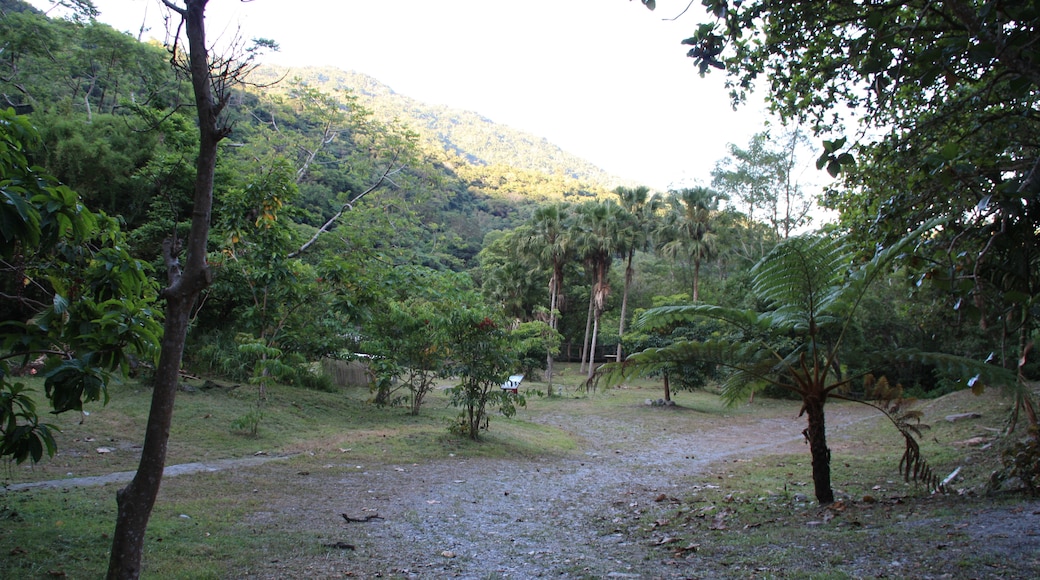 Lord Koxinga (CC BY-SA) 的「Jhihben National Forest Recreation Area」相片 / 裁剪自原有相片