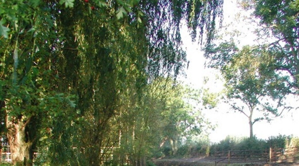 Kuva ”Ulleskelf” käyttäjältä Paul Glazzard (CC BY-SA) / rajattu alkuperäisestä kuvasta