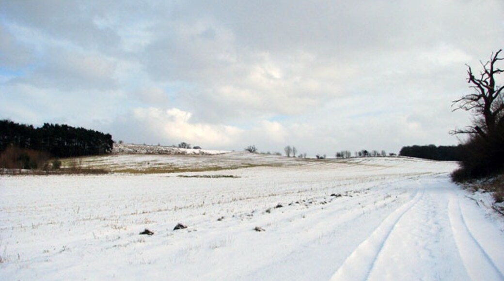 Photo "Caistor St Edmund and Bixley" by Evelyn Simak (CC BY-SA) / Cropped from original