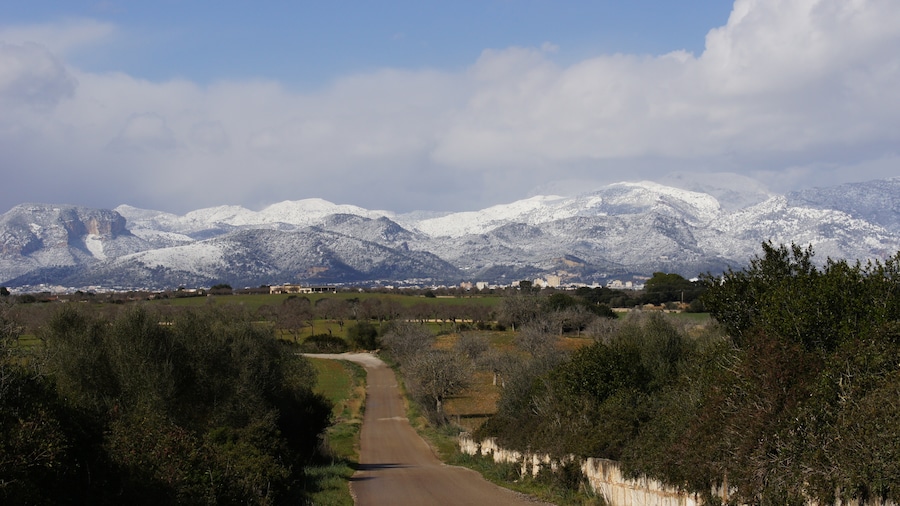 Photo "Nieve Mallorca" by mateu mulet (Creative Commons Attribution 3.0) / Cropped from original