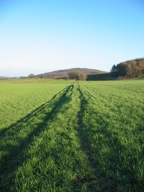 "Yearsley"-foto av Phil Catterall (CC BY-SA) / Urklipp från original