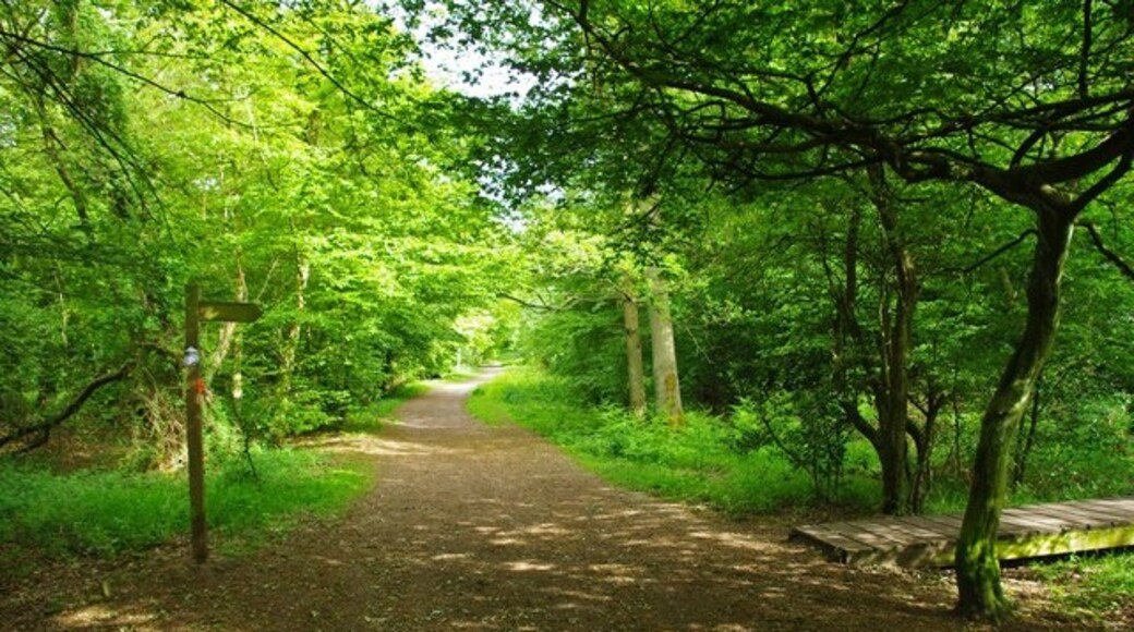 "Theydon Garnon"-foto av Glyn Baker (CC BY-SA) / Urklipp från original