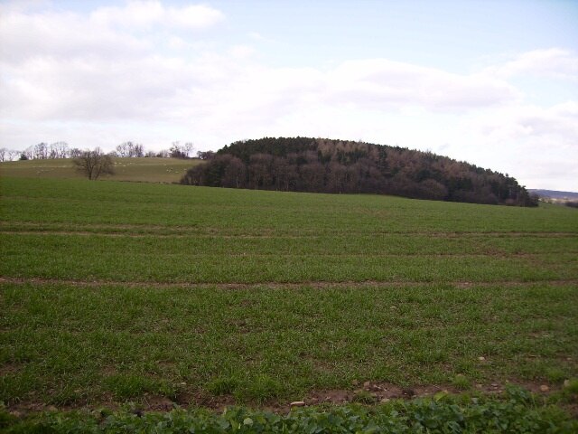 Foto „Wildon Grange“ von Phil Catterall (CC BY-SA)/zugeschnittenes Original