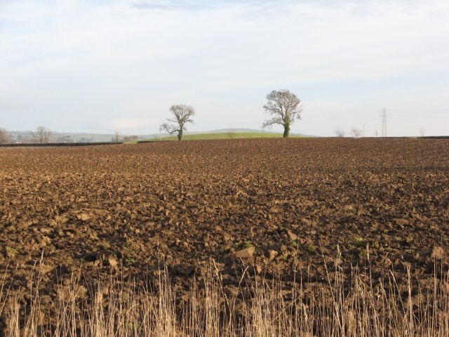 Ploughed field, Clarabad Flat farmland above the deep dean of the Whiteadder. The newly ploughed land will have benefited from the recent long frost breaking up the soil.