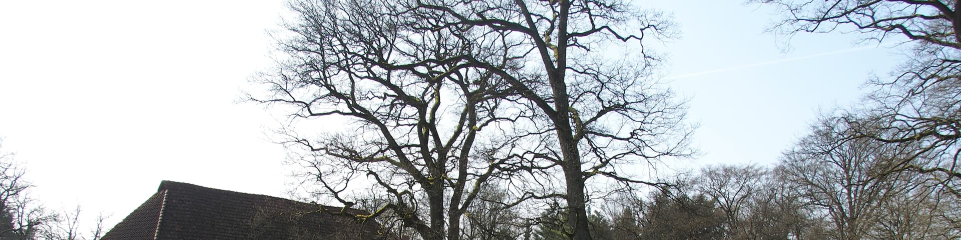 Denkmalgeschützter Bauernhof in Westenholz (Walsrode)