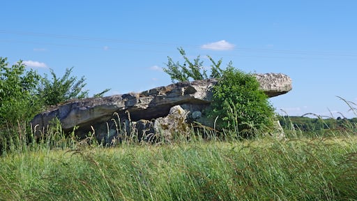 « Le Thoureil», photo de Daniel Jolivet (CC BY) / rognée de l’originale