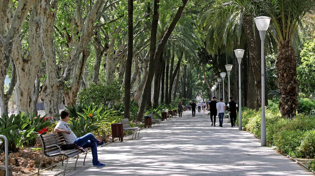 Foto "Taman Málaga" oleh Banja-Frans Mulder (CC BY) / Dipotong dari foto asli