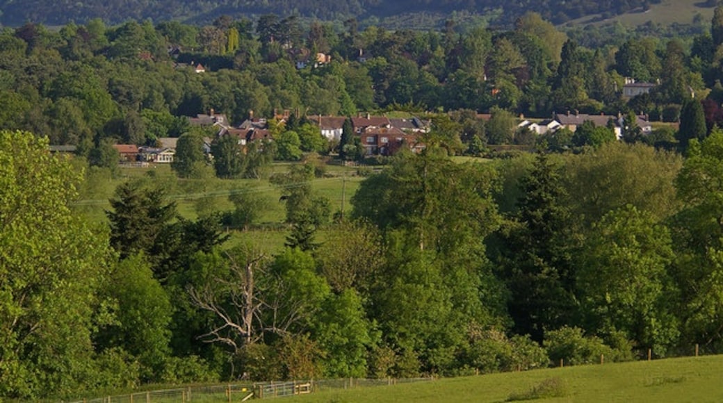 Photo "Reigate" by Ian Capper (CC BY-SA) / Cropped from original