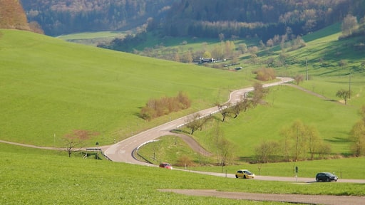 Foto ‘Schwäbisch Gmünd’ van qwesy qwesy (CC BY) / bijgesneden versie van origineel