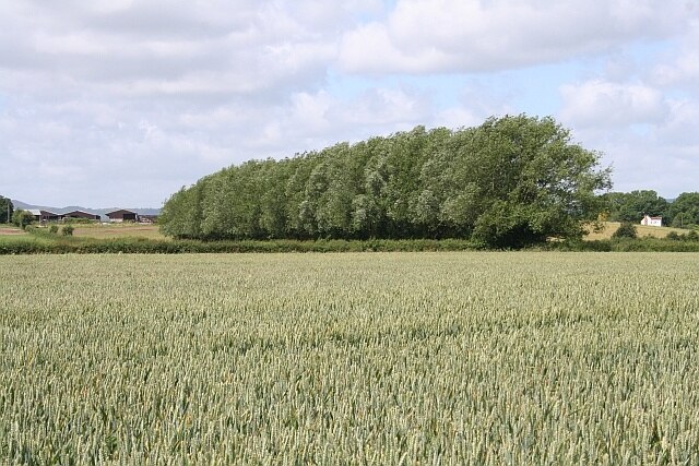 Photo "Hill Croome" by Bob Embleton (CC BY-SA) / Cropped from original