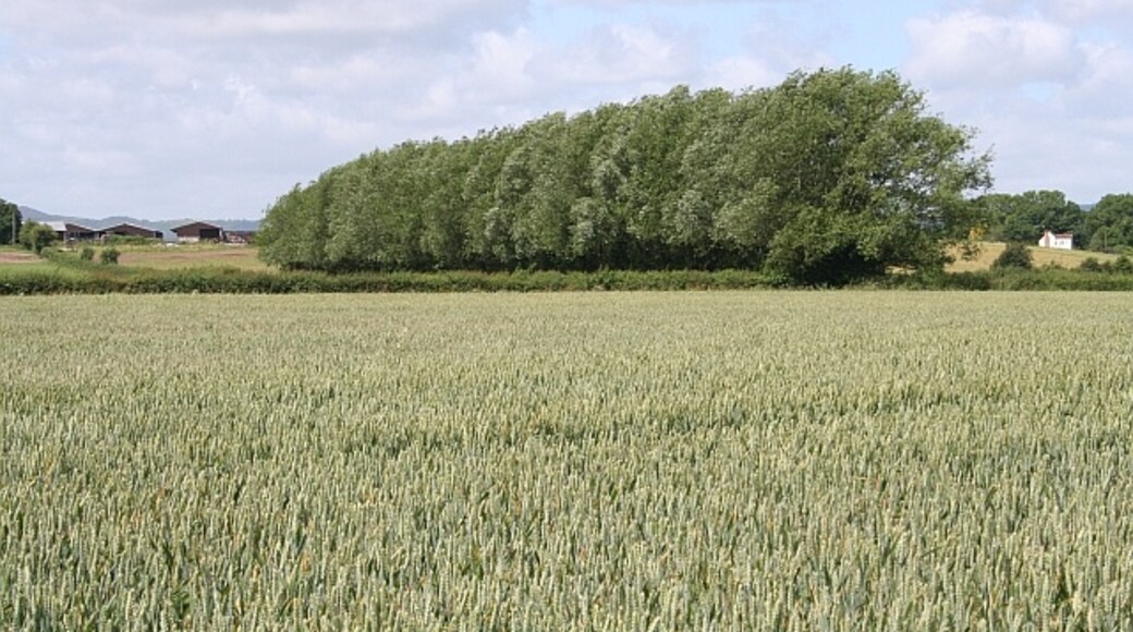 Photo "Hill Croome" by Bob Embleton (CC BY-SA) / Cropped from original