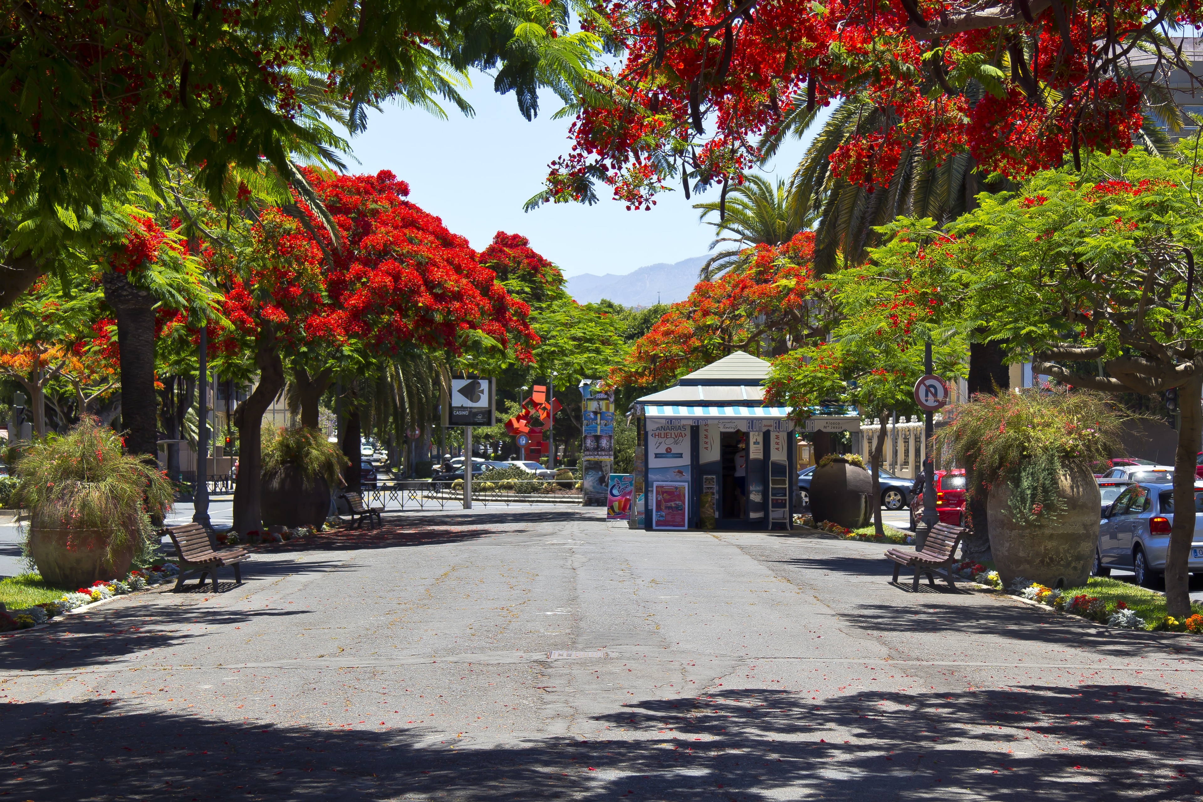 Die Rambla de Santa Cruz ist eine Promenade (Fußgängerallee mit beiderseitiger Hauptverkehrsstraße) in Santa Cruz de Tenerife. Abschnitt oberhalb des Parque García Sanabria