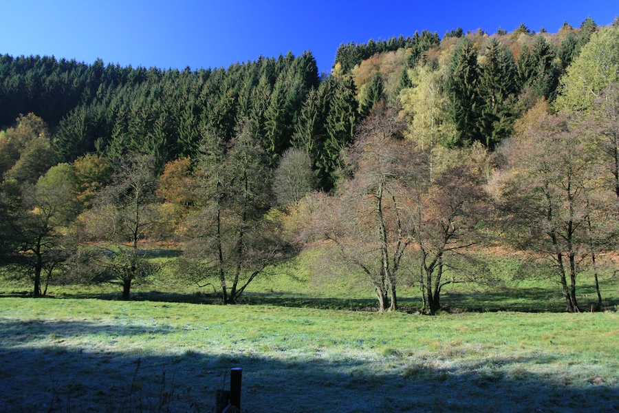 Herbstliches Tiefenbachtal