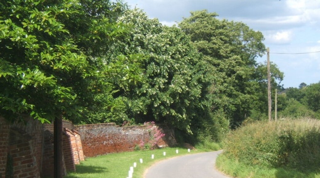 Photo "Dallinghoo" by Andrew Hill (CC BY-SA) / Cropped from original