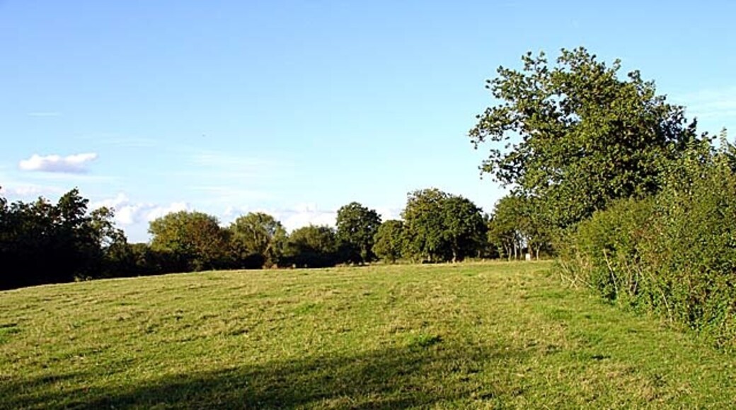 Photo "Ham and Stone" by Linda Bailey (CC BY-SA) / Cropped from original