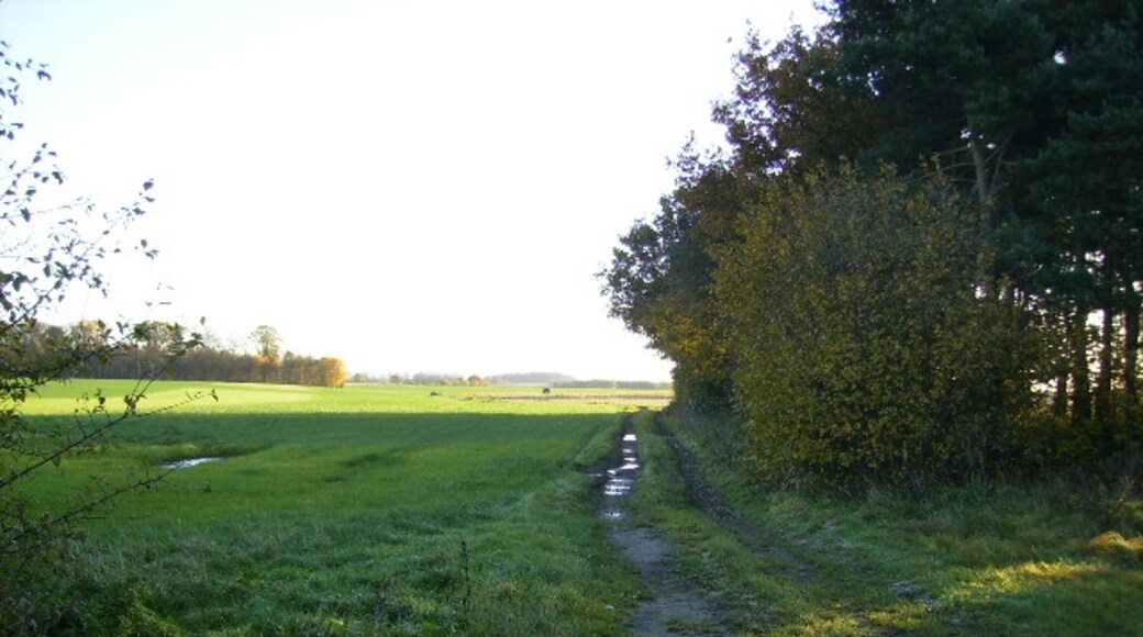 Photo "Claxton" by Phil Catterall (CC BY-SA) / Cropped from original