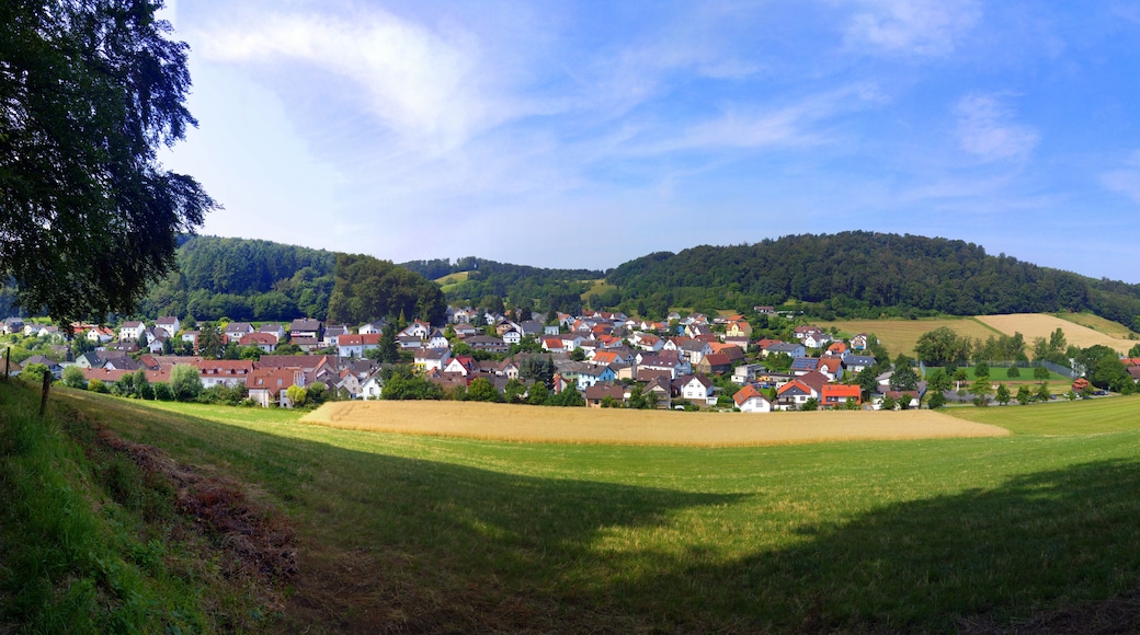 Kuva ”Mühltal” käyttäjältä AxeldieRatte (CC BY-SA) / rajattu alkuperäisestä kuvasta