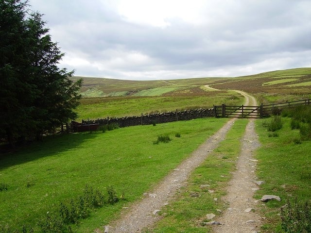 Moorland's edge. Above Corsehope Farm