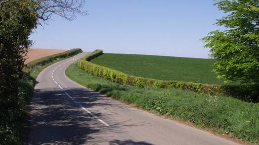 "Kelly"-foto av Derek Harper (CC BY-SA) / Urklipp från original