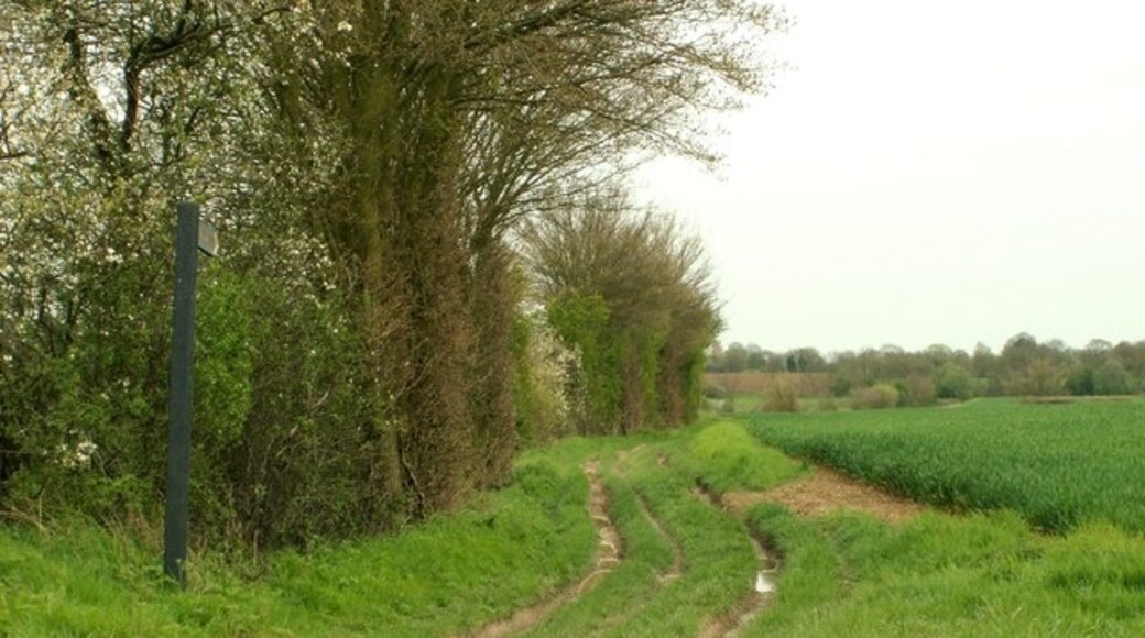 Kuva ”High Easter” käyttäjältä Robert Edwards (CC BY-SA) / rajattu alkuperäisestä kuvasta