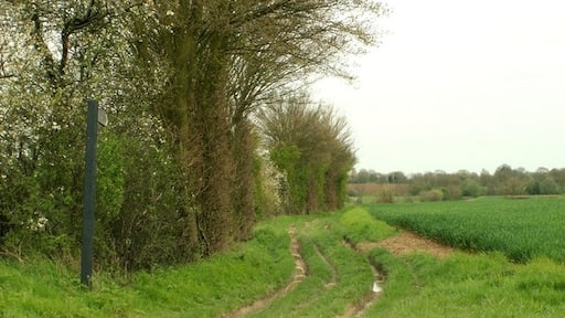 Kuva ”High Easter” käyttäjältä Robert Edwards (CC BY-SA) / rajattu alkuperäisestä kuvasta