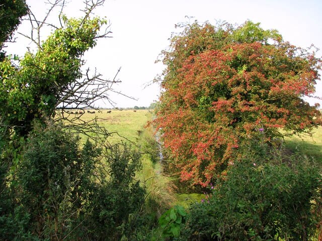 Foto „Fleggburgh“ von Evelyn Simak (CC BY-SA)/zugeschnittenes Original