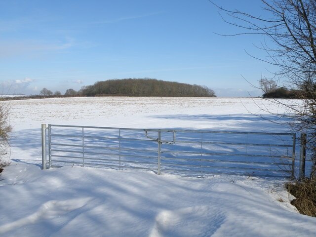 Photo "Morborne" by Michael Trolove (CC BY-SA) / Cropped from original