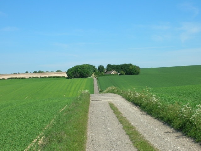 Photo "Luttons" by JThomas (CC BY-SA) / Cropped from original