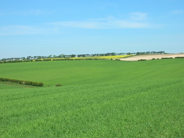 Photo "Luttons" by JThomas (CC BY-SA) / Cropped from original