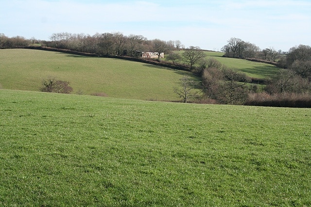 Exbourne: between the village and Lower Narracott Looking east across the Hole Brook valley