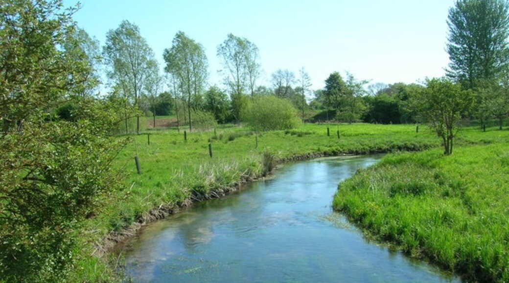 Kuva ”Garton” käyttäjältä Steve Brown (CC BY-SA) / rajattu alkuperäisestä kuvasta