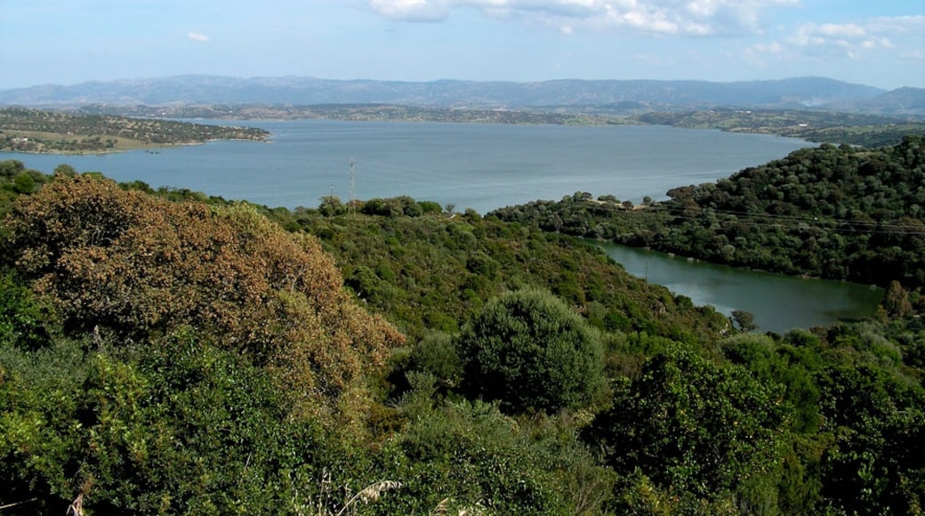 Foto "Lago Coghinas" di ┌─┼─┬┴──┘ (CC BY) / Ritaglio dell’originale