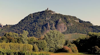 Drachenfels – links Schloss Drachenburg, davor die Rheinebene südlich von Mehlem