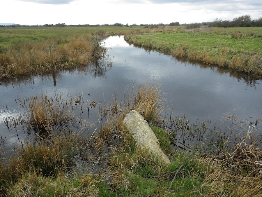 Inscribed with 'BB 17' (Bexhill Borough). At the time of the incorporation of Bexhill Borough in 1902, the boundary was marked out by 63 large stones placed along the perimeter from Normans Bay on the west, through Lunsford Cross on the north of the town and Glyne Gap on the east, also the Hastings county borough boundary.