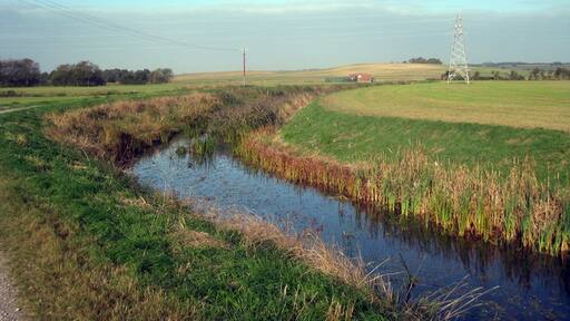 Foto „Stone-cum-Ebony“ von Oast House Archive (CC BY-SA)/zugeschnittenes Original
