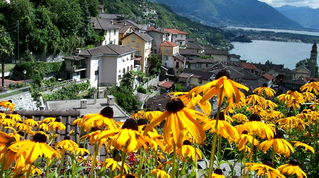 Foto "Ronco sopra Ascona" oleh Uwelino (CC BY-SA) / Dipotong dari foto asli