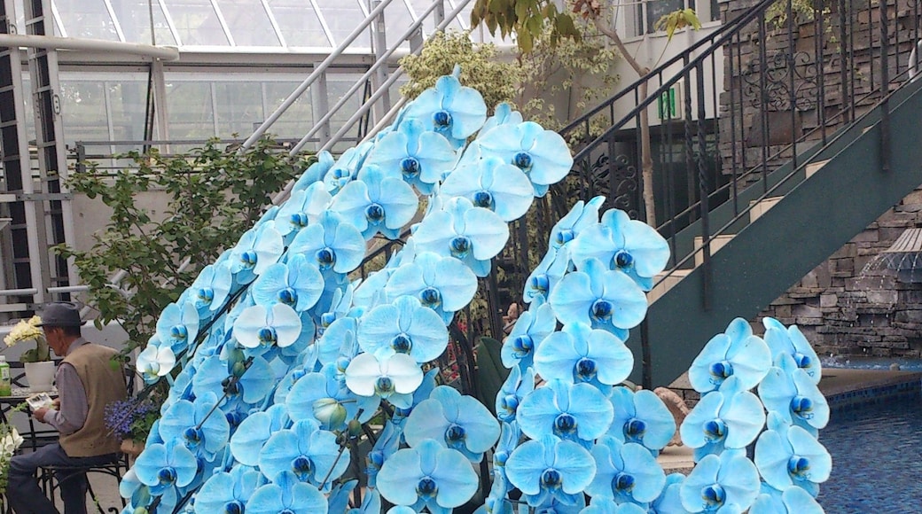Photo "Hamamatsu Flower Park" by 遠州人 (page does not exist) (CC BY-SA) / Cropped from original