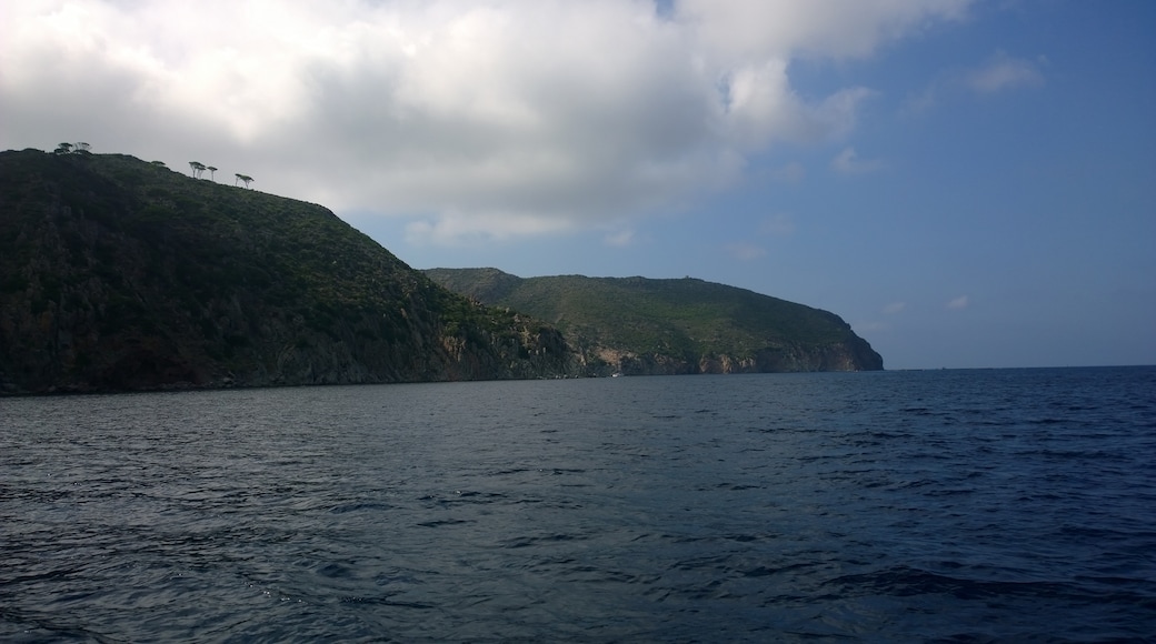 Foto “Isla Capraia” tomada por 4net (CC BY); recorte de la original