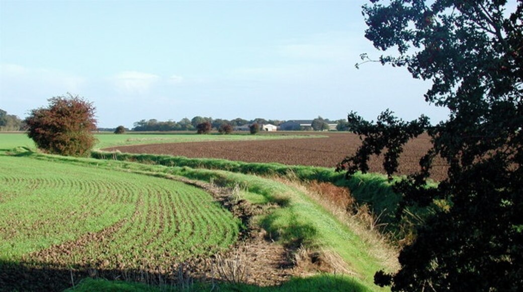 Photo "Patrington" by Paul Glazzard (CC BY-SA) / Cropped from original