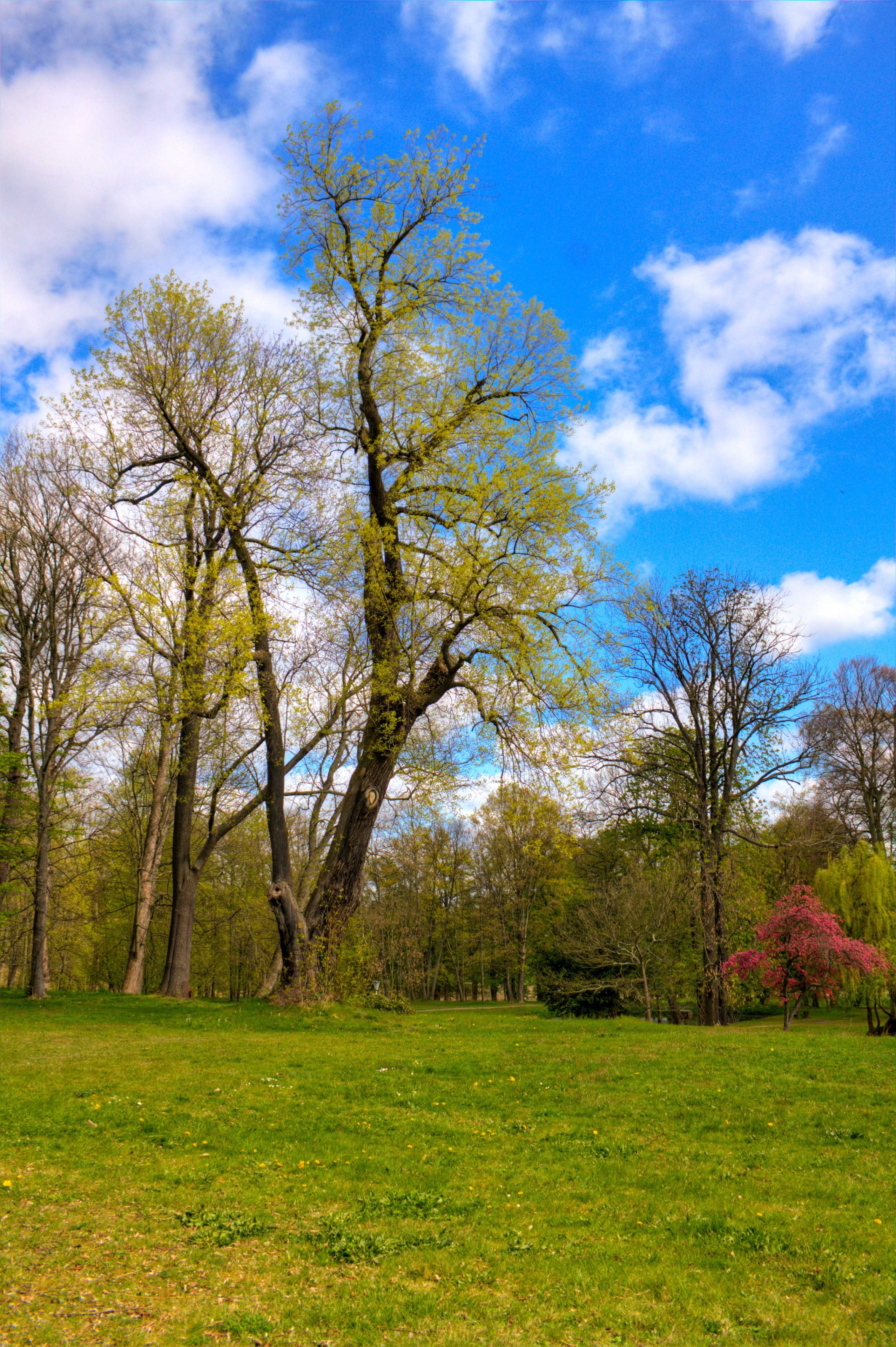 Radler59 (CC BY-SA) 的「達倫」相片 / 由原圖裁切