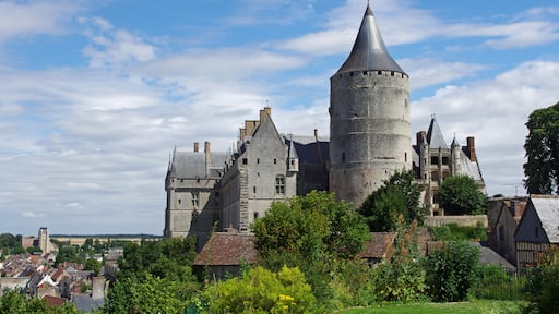 Foto "Châteaudun" di Daniel Jolivet (CC BY) / Ritaglio dell’originale