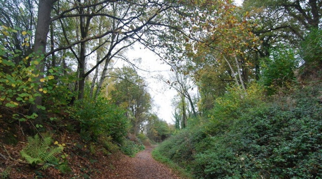 « Forest Way Country Park», photo de Nigel Chadwick (CC BY-SA) / rognée de l’originale