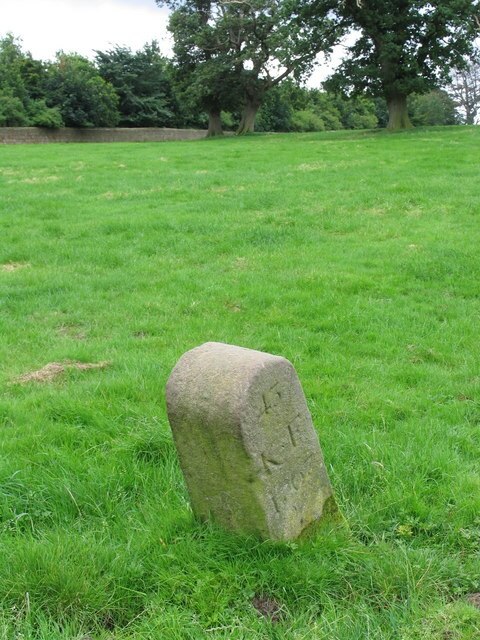 Foto “Clint con Hamlets” tomada por David Rogers (CC BY-SA); recorte de la original