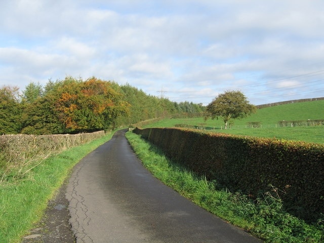 Road Balgray Mill burn runs behind the wood.