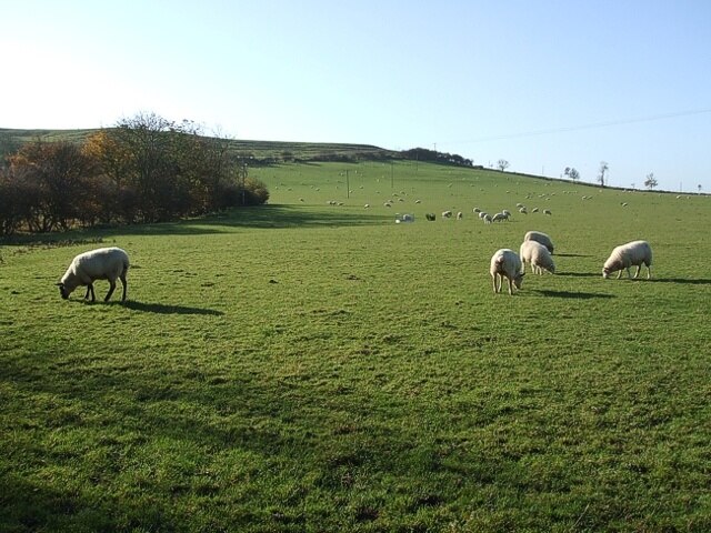 Billede "Hogshaw" af Rob Farrow (CC BY-SA) / beskåret fra det originale billede