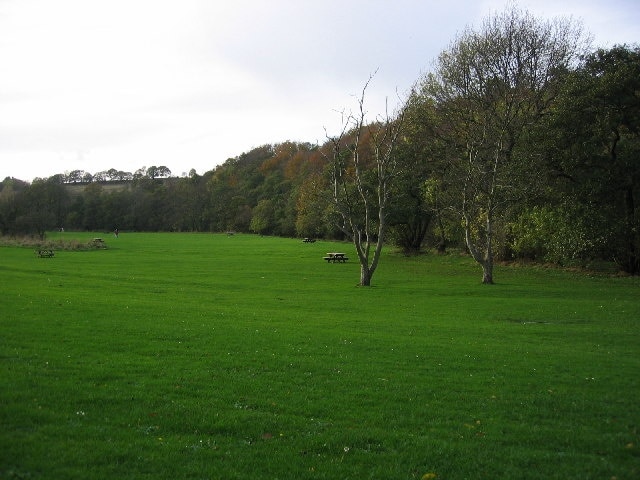 Allensford Picnic Area. View along the main picnic area, the trees following along derwent river.