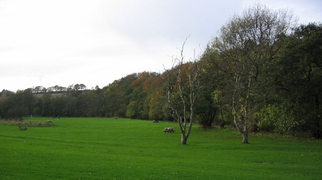 Kuva ”Allensford Country Park” käyttäjältä Colin Edgar (CC BY-SA) / rajattu alkuperäisestä kuvasta