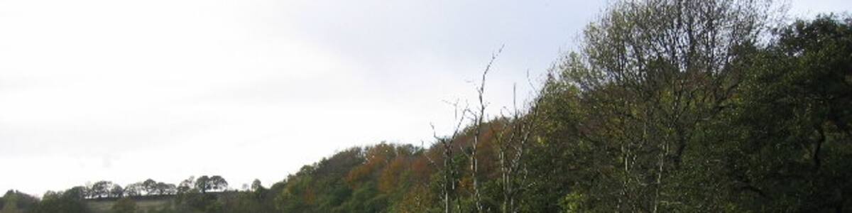 Photo "Allensford Picnic Area. View along the main picnic area, the trees following along derwent river." by Colin Edgar (Creative Commons Attribution-Share Alike 2.0) / Cropped from original