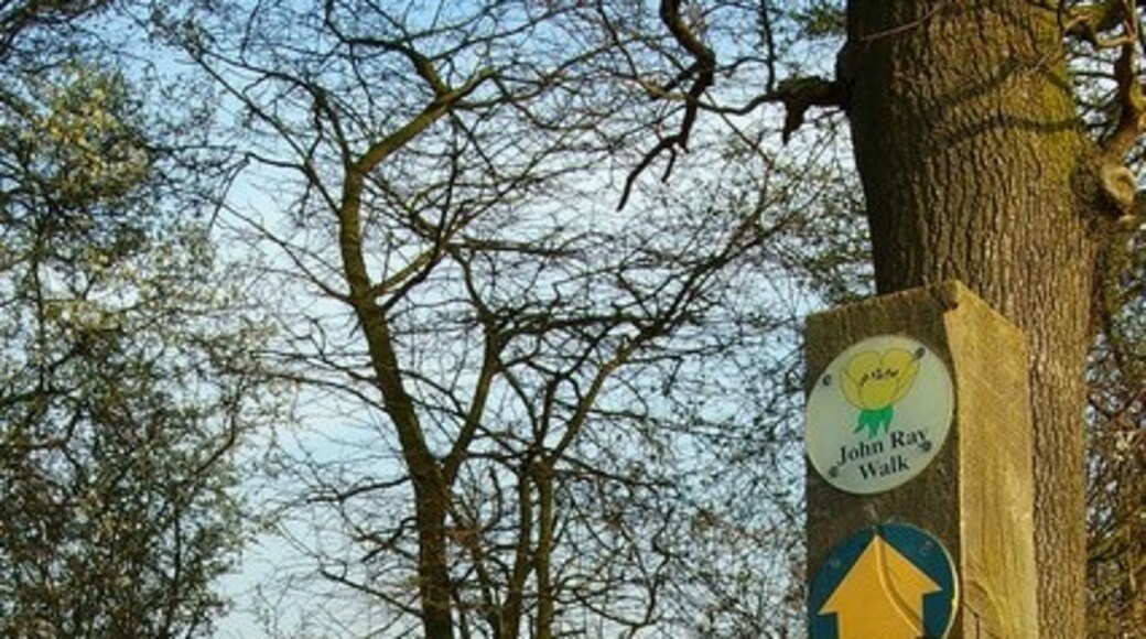 Kuva ”Cressing” käyttäjältä Glyn Baker (CC BY-SA) / rajattu alkuperäisestä kuvasta